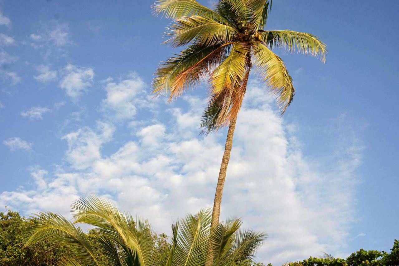 Villa Havana 马尔帕伊斯 外观 照片